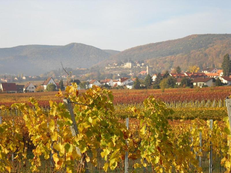 Loblocher Max Und Moritz Neustadt an der Weinstrasse Exterior photo