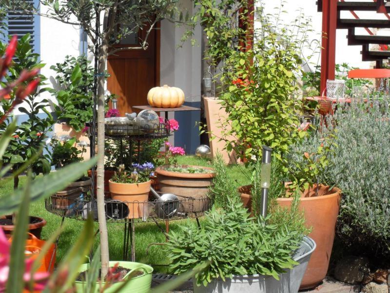 Loblocher Max Und Moritz Neustadt an der Weinstrasse Exterior photo